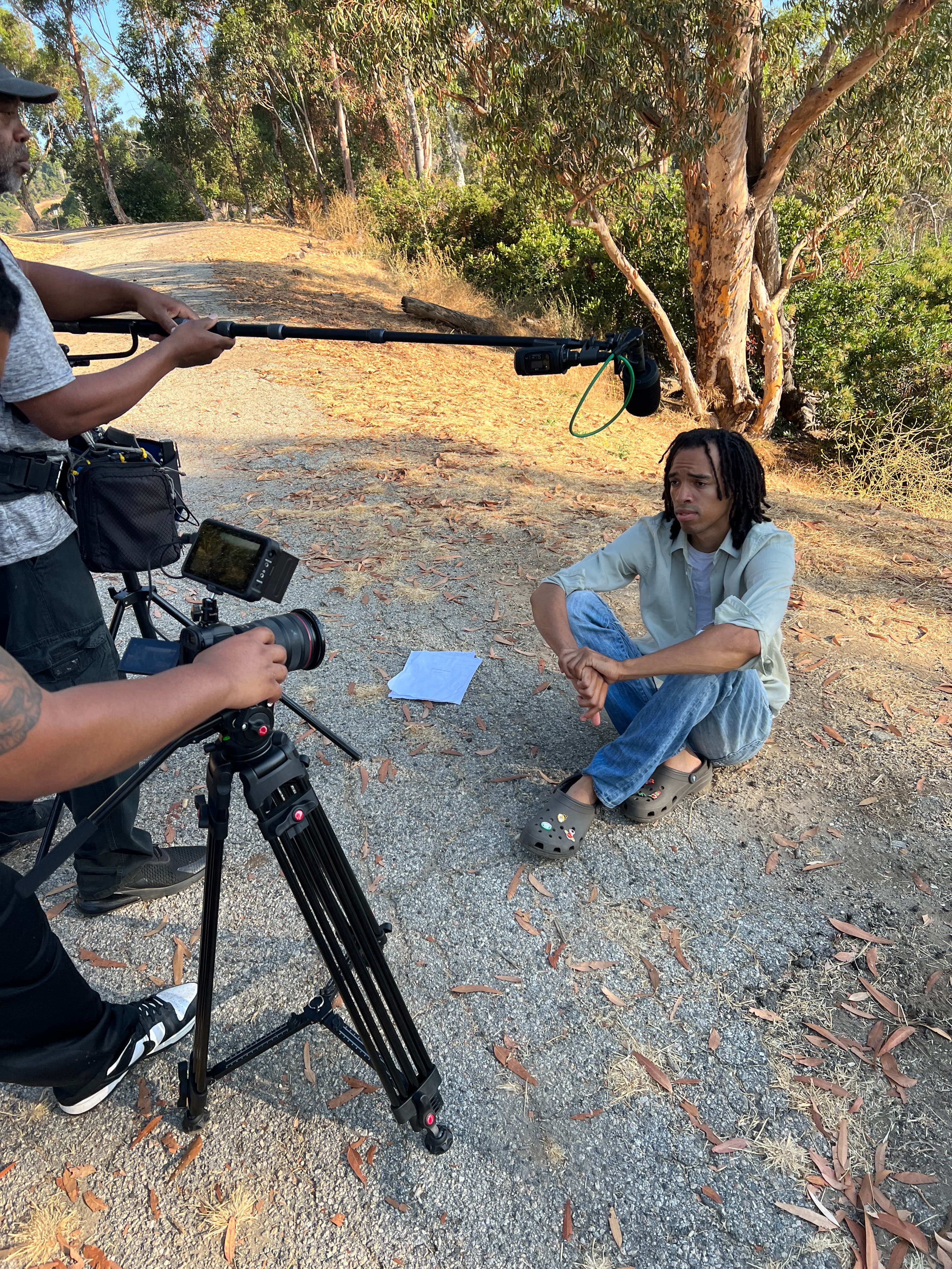 Behind the scenes on Hallucinations